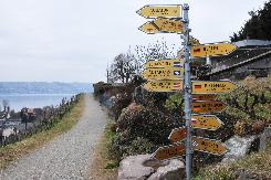 Picture02